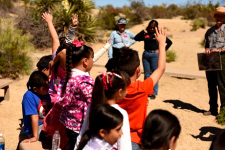 Students raise hands photo