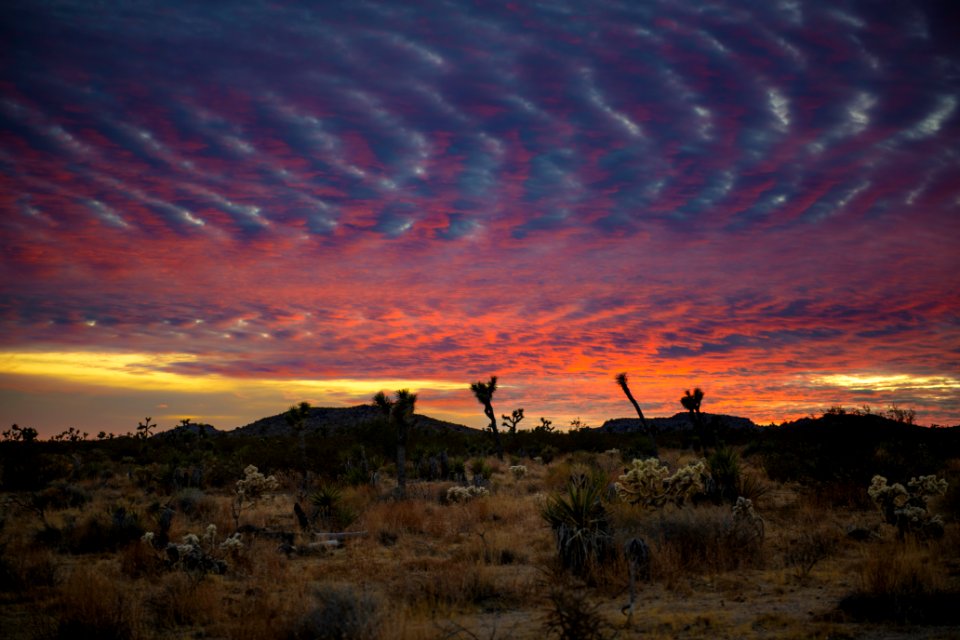 Desert landscape at sunset