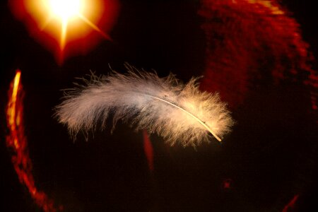 Float light space