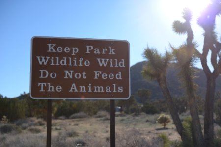 Keep Wildlife Wild Sign photo