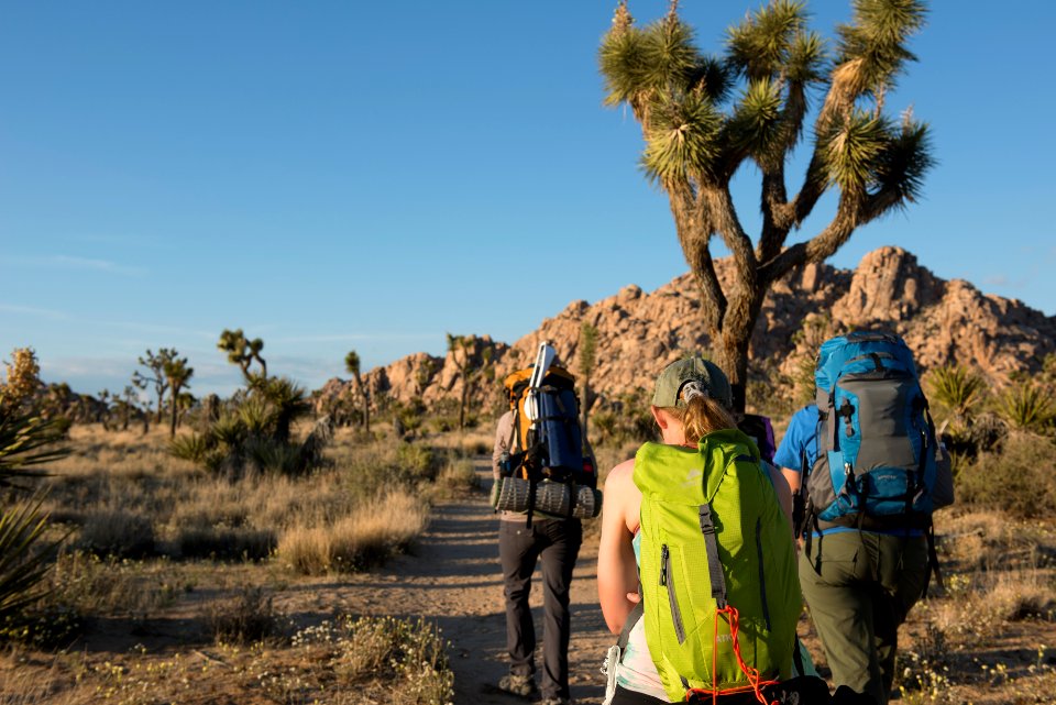 Backpacking along the Boy Scout Trail