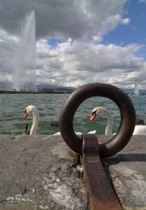 Genève photo