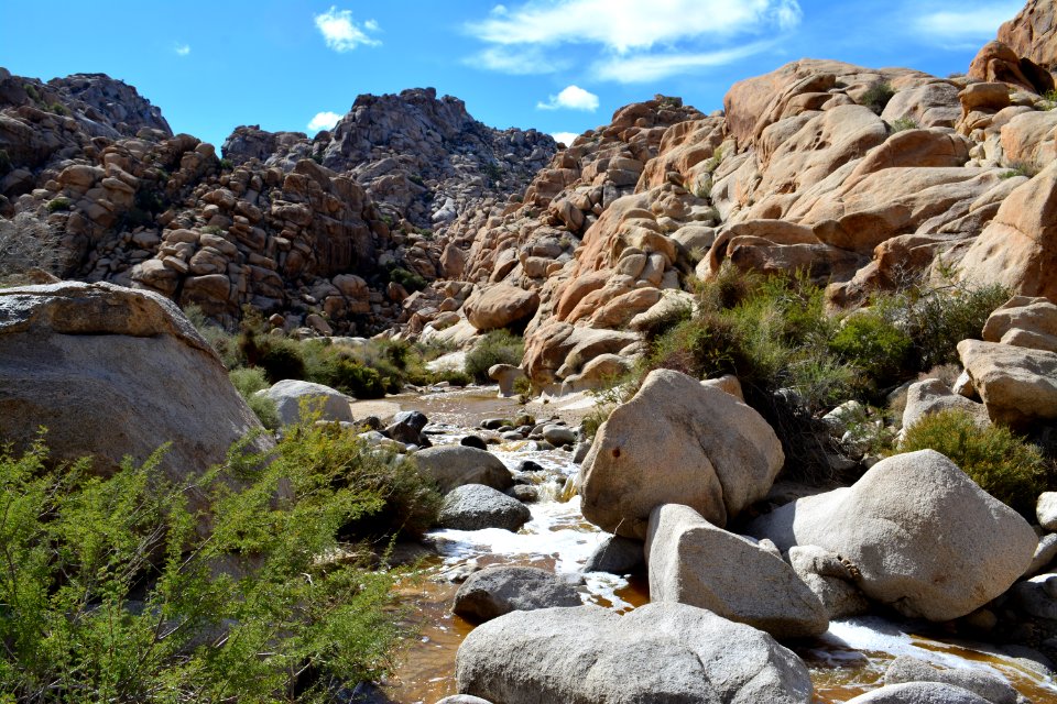 Water in Rattlesnake Canyon