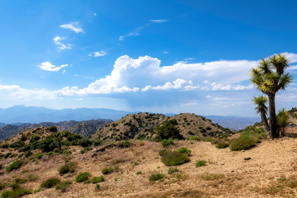 View from Upper Covington Flats