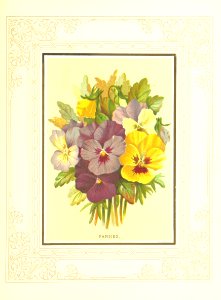 Floral Poetry and the language of flowers. With coloured illustrations. [The editor's preface is signed J. H. S.] photo