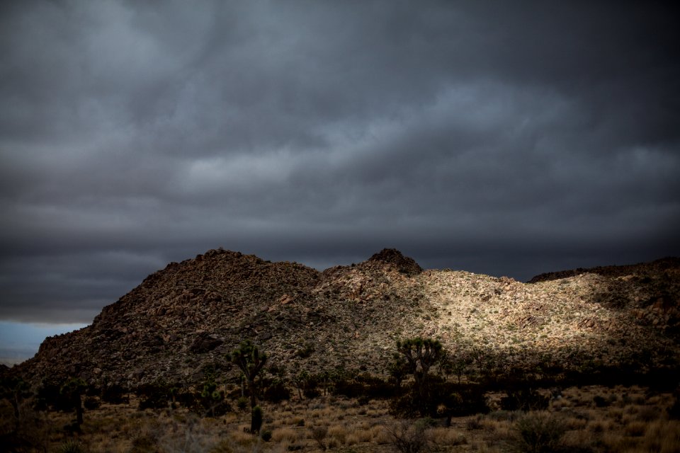 Stormy skies over Joshua Tree