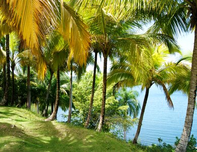 Holidays summer travel