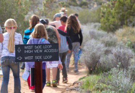 Students hiking in Joshua Tree