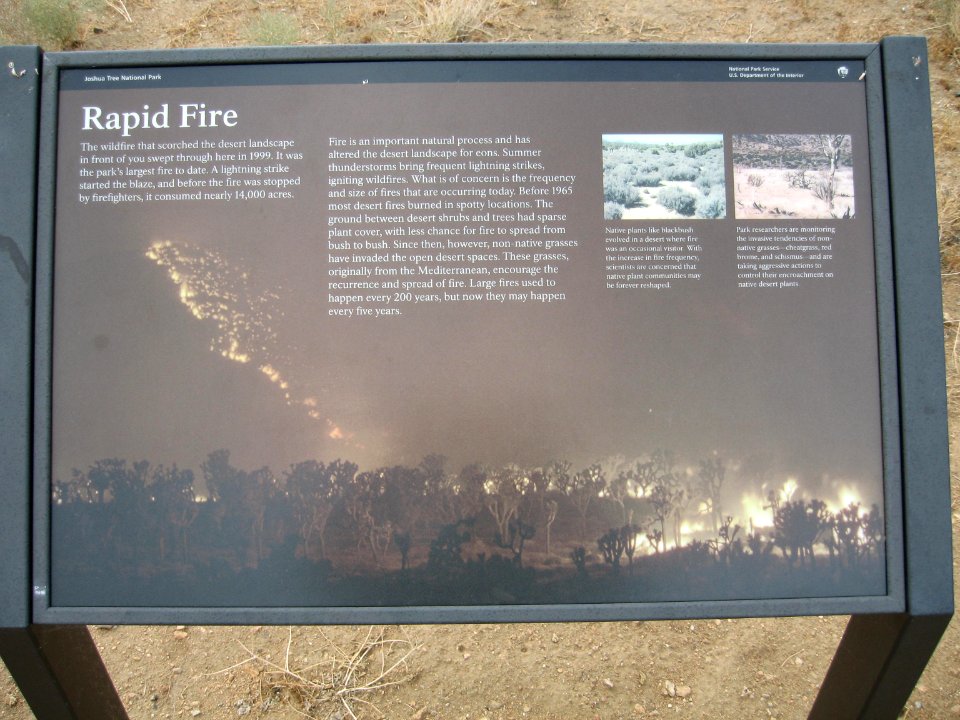 Joshua Tree Wayside circa early 2000s - Rapid Fire