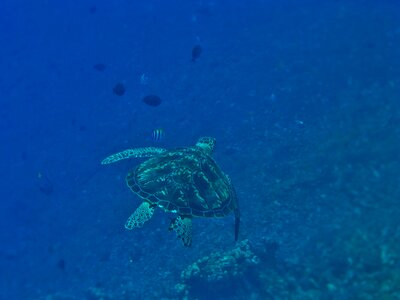 Sea water underwater