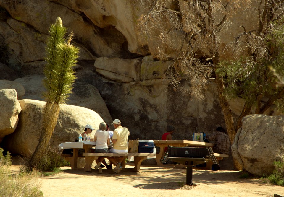 Picnic at Hidden Valley Picnic Area