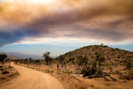 Smoke from the Apple Fire over Covington Flats