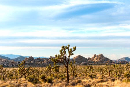 Wonderland of Rocks viewed from Lost Horse Valley photo