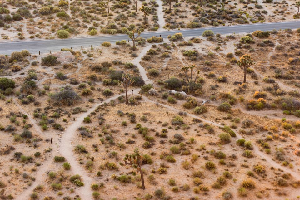 Social trails developing near Intersection Rock