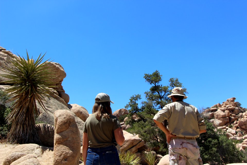 Hikers on a trail