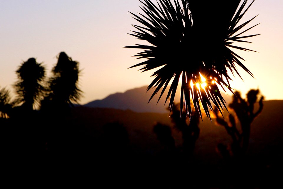 Sunset on the Barker Dam trail