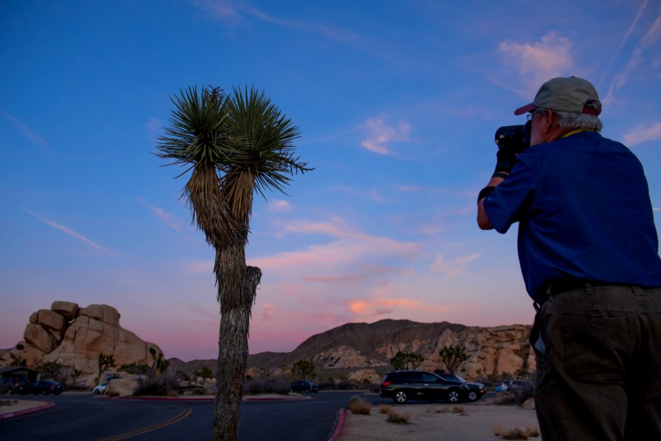 Photographer and Joshua tree sunset