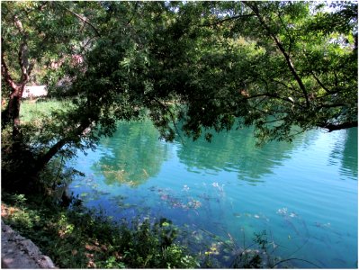 Reflets (Parc Nationnal de KRKA) Croatie photo