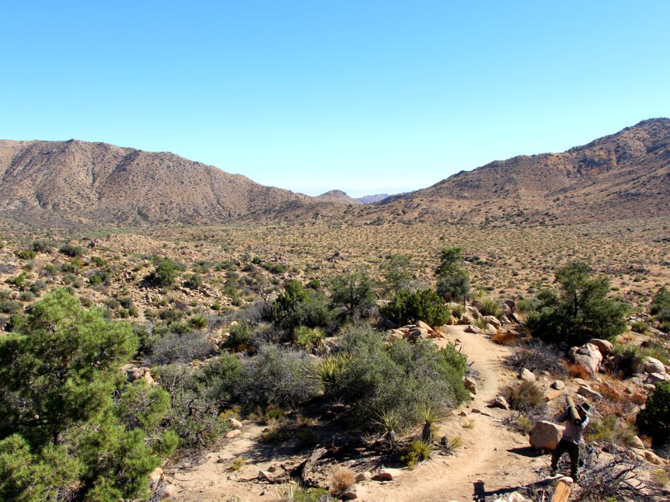 Covington Flats Trail