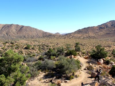 Covington Flats Trail