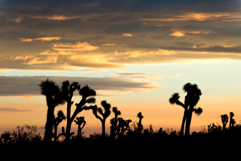 Sunrise near West Entrance