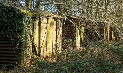 Dez-rez in the woods, Pant-du, N/Wales, UK, 2021.