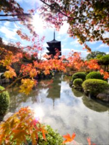 東寺 五重塔