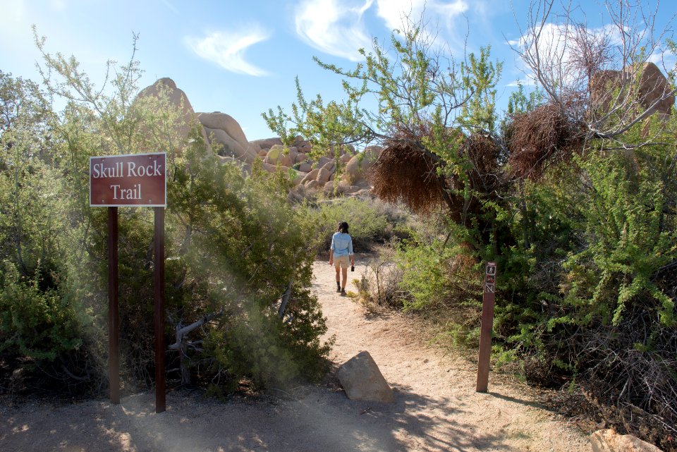 Hiking Skull Rock Trail
