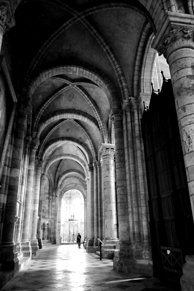 Cathédrale Saint-Étienne de Sens photo