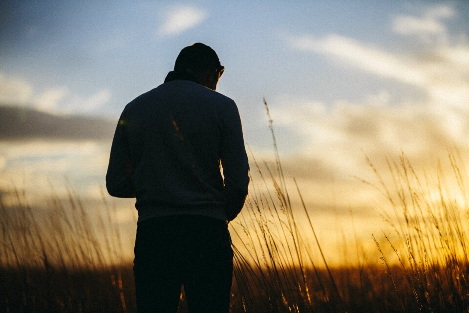 Grass rural silhouette