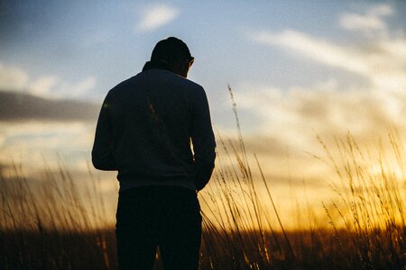 Grass rural silhouette