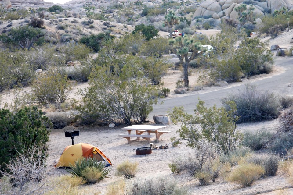 Jumbo Rocks Campground