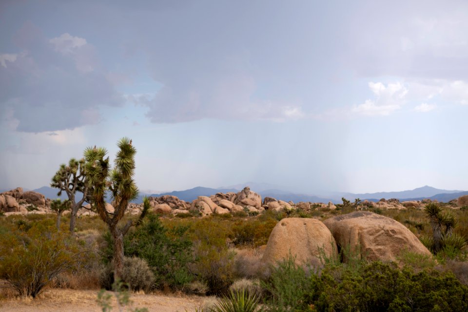 Monsoon clouds from Live Oak Picnic Area