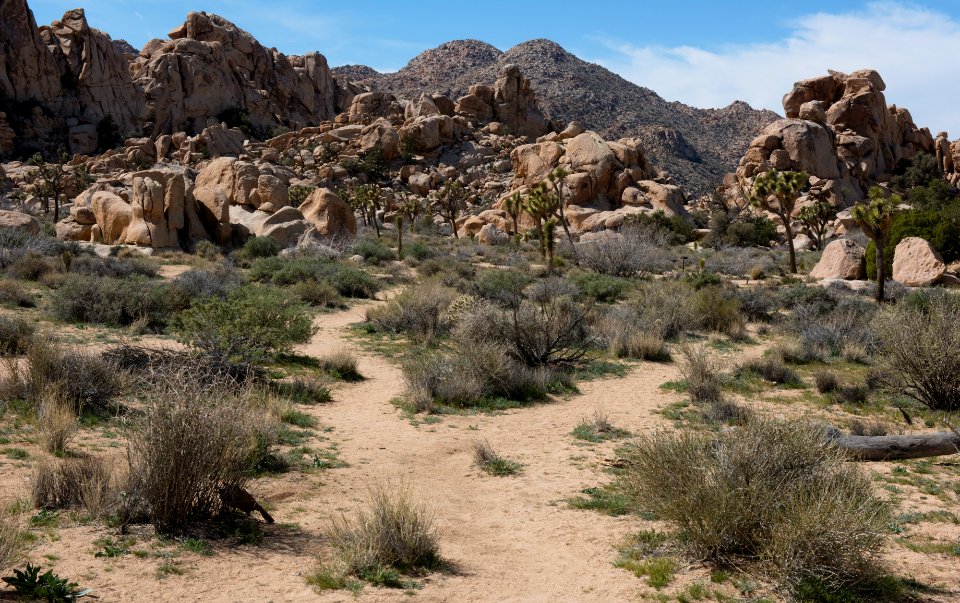 Social Trails