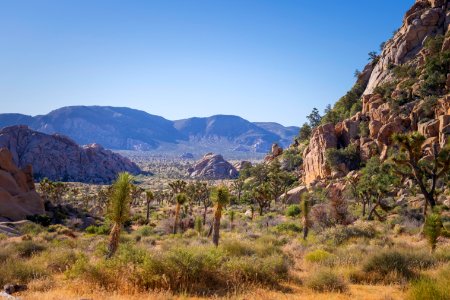 Lost Horse Valley