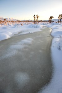 Frozen Wash near Intersection Rock