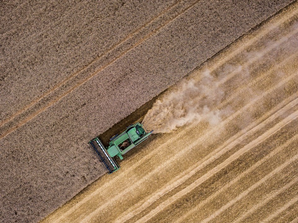 Harvest time - le temps des moissons