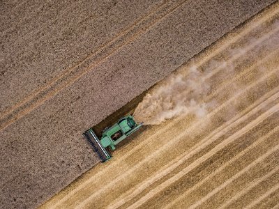 Harvest time - le temps des moissons