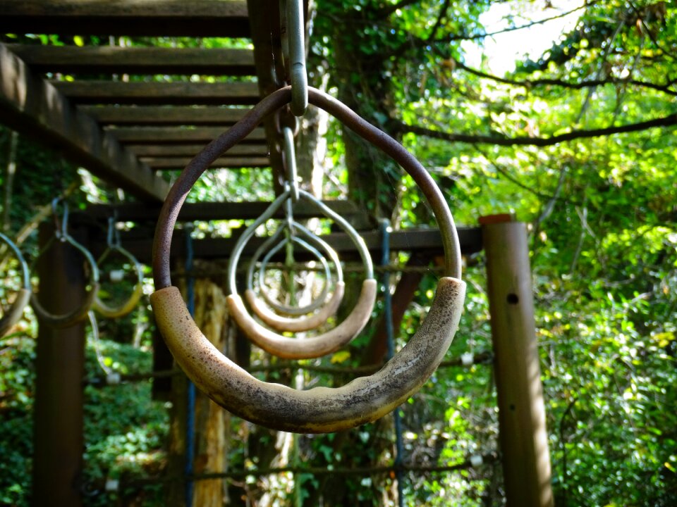 Climb park forest