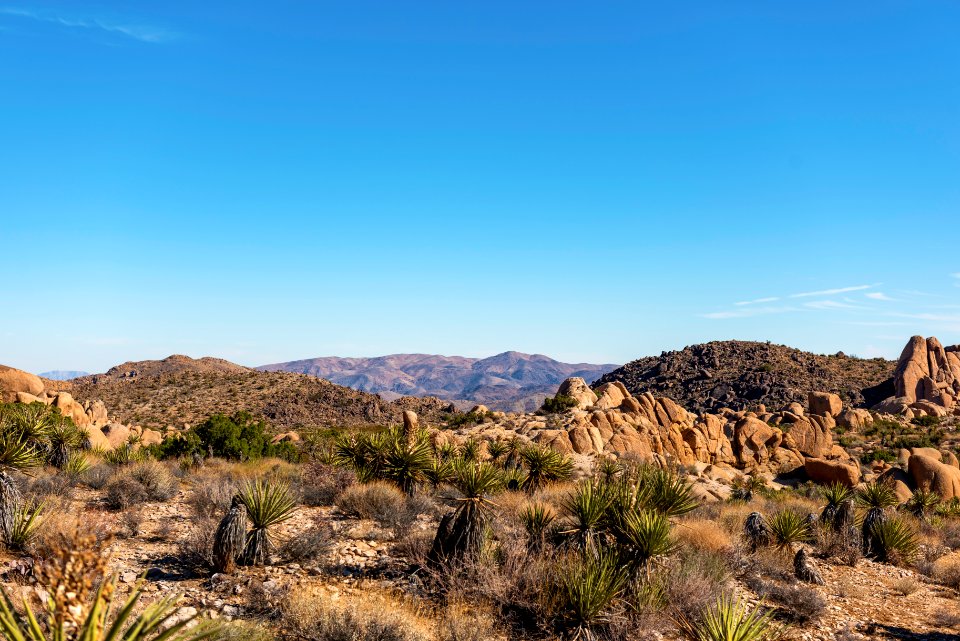 Looking toward Belle Mountain on Split Rock Trail