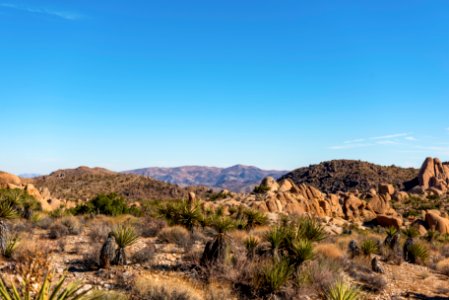 Looking toward Belle Mountain on Split Rock Trail
