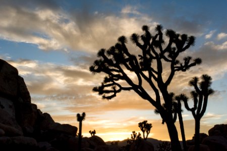 Sunset near Cap Rock photo