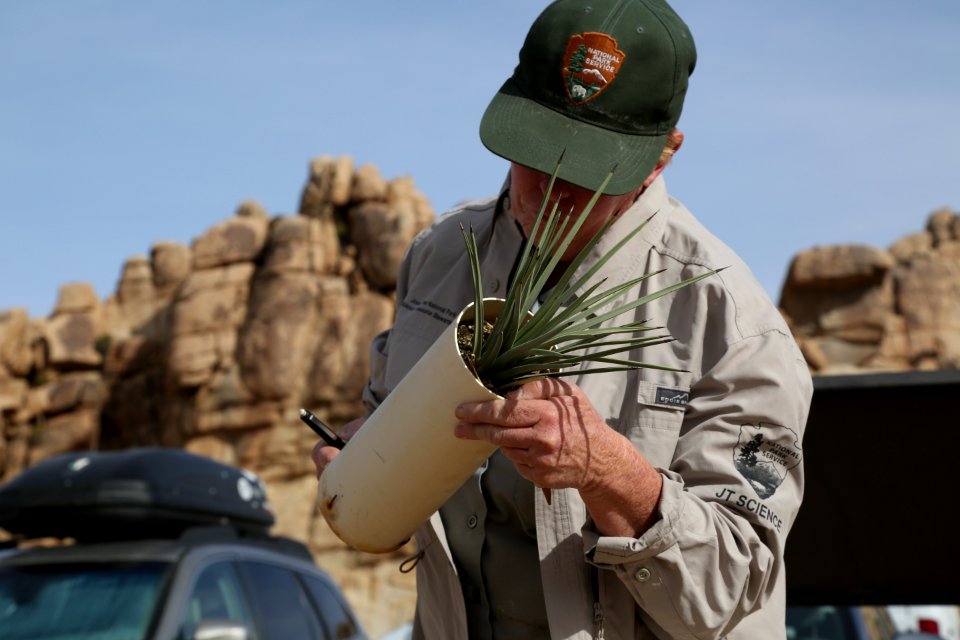 Cataloging native plants near Hemingway Buttress