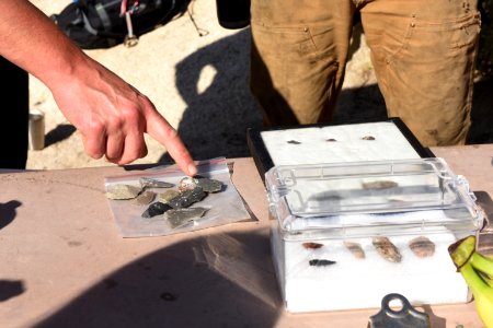 Ranger-led volunteer event in Indian Cove