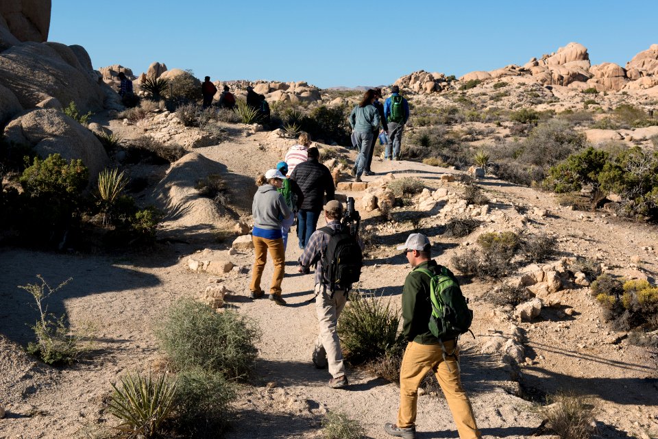 Hikers on the Skull Rock Trail