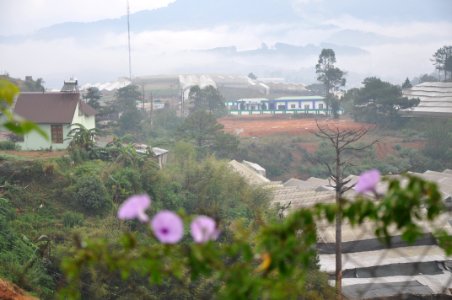 DSC 0338