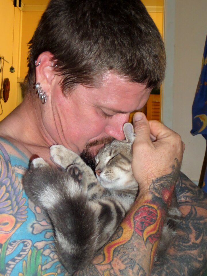 Kitten cute friendship