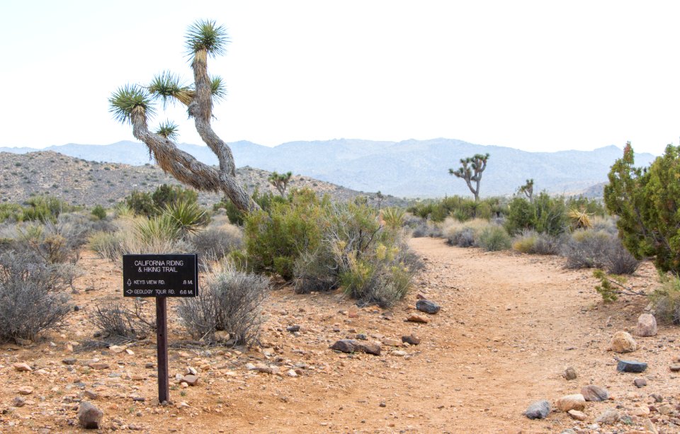 Ryan Campground; California Riding and Hiking Trail