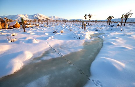 Frozen Wash near Intersection Rock