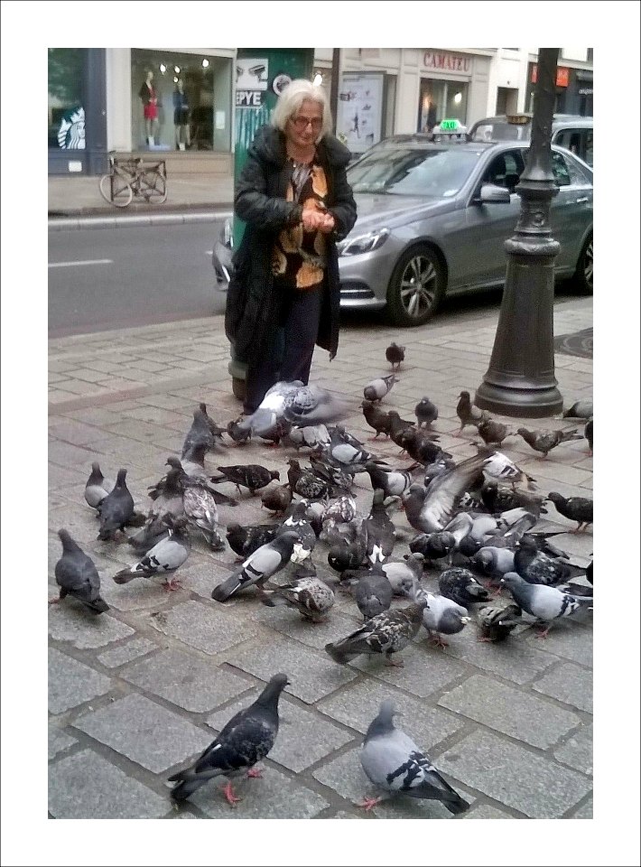 PARIS la femme aux pigeons